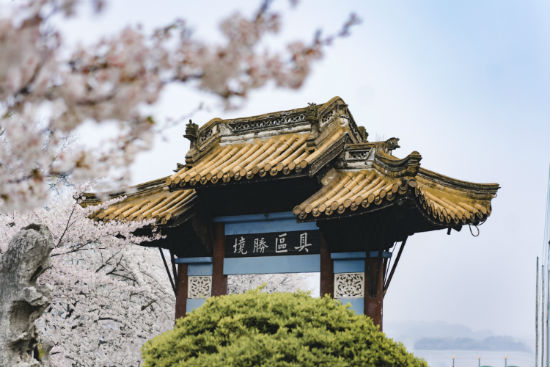 西南大學(xué)專升本報名截止時間是什么時候？