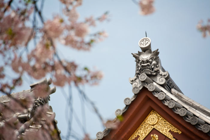 平頂山提升學(xué)歷方式哪種好？學(xué)歷提升招生學(xué)校有多少？