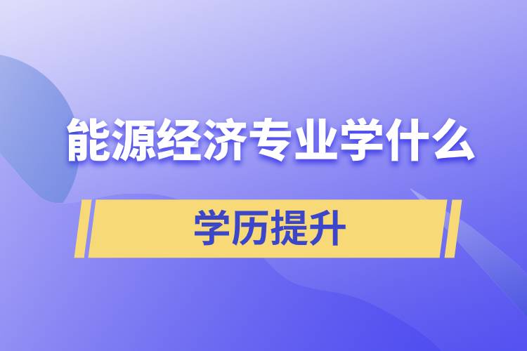 能源經(jīng)濟(jì)專(zhuān)業(yè)學(xué)什么