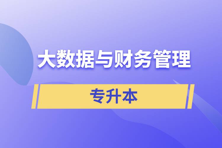 大數據與財務管理專升本