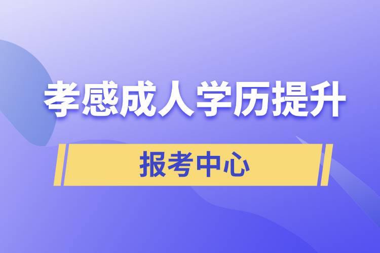 孝感有成人學歷提升報考中心嗎