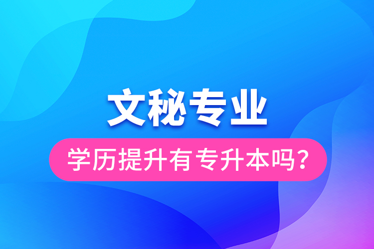 文秘專業(yè)學(xué)歷提升有專升本嗎？