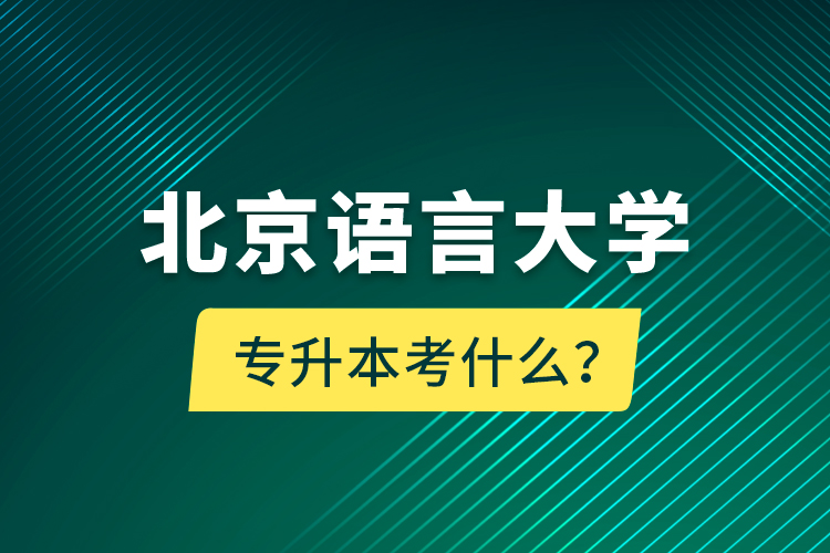北京語言大學(xué)專升本考什么？