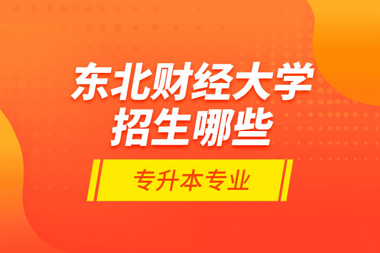 東北財(cái)經(jīng)大學(xué)招生哪些專升本專業(yè)？